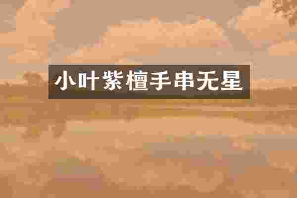 小叶紫檀手串无星