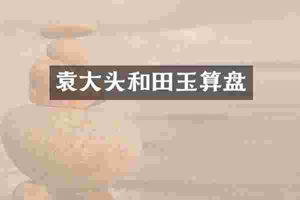 袁大头和田玉算盘