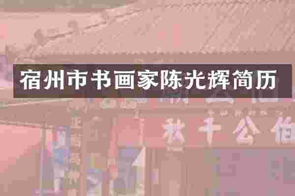 宿州市书画家陈光辉简历