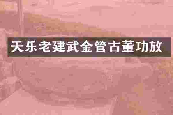 天乐老建武金管古董功放