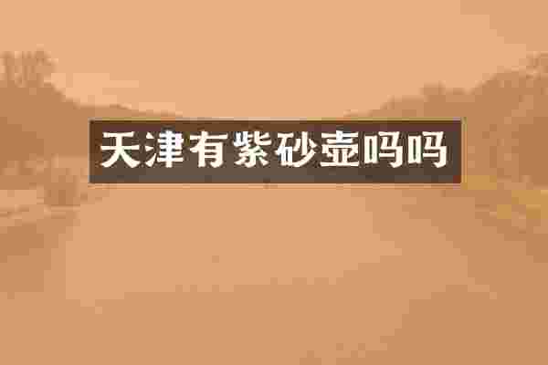 天津有紫砂壶吗吗