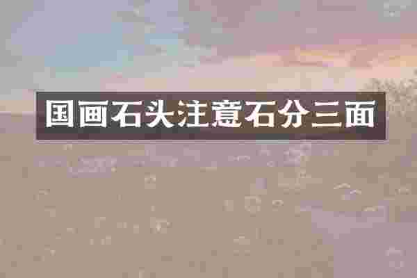国画石头注意石分三面