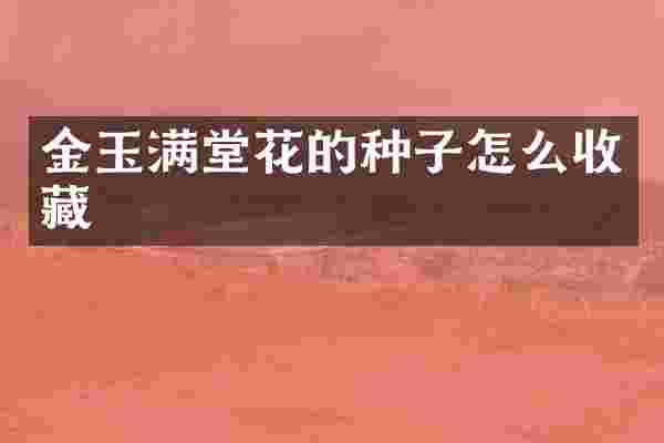 金玉满堂花的种子怎么收藏