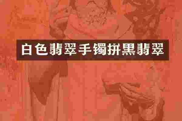 白色翡翠手镯拼黑翡翠