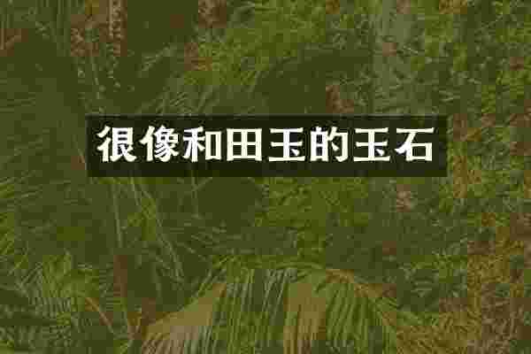 很像和田玉的玉石