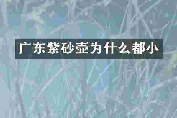 广东紫砂壶为什么都小