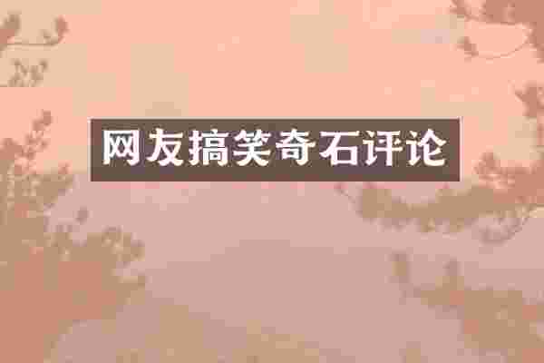 网友搞笑奇石评论