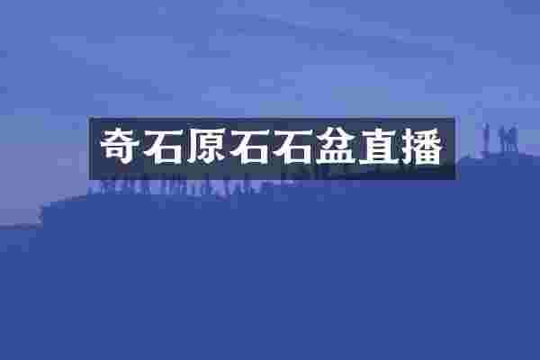 奇石原石石盆直播