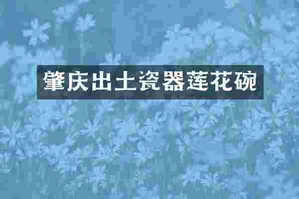 肇庆出土瓷器莲花碗