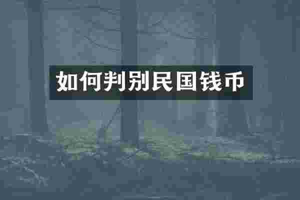 如何判别民国钱币