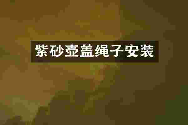 紫砂壶盖绳子安装