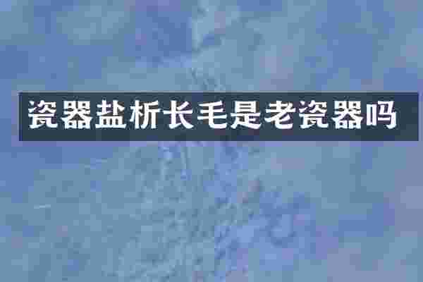 瓷器盐析长毛是老瓷器吗