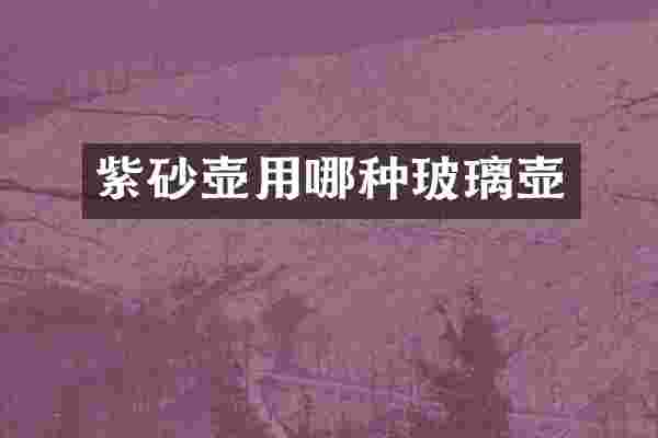 紫砂壶用哪种玻璃壶