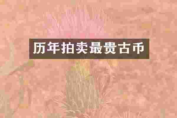 历年拍卖最贵古币