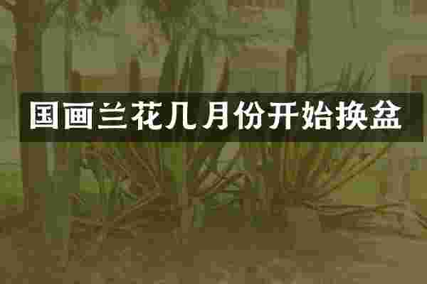 国画兰花几月份开始换盆