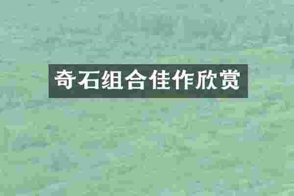 奇石组合佳作欣赏