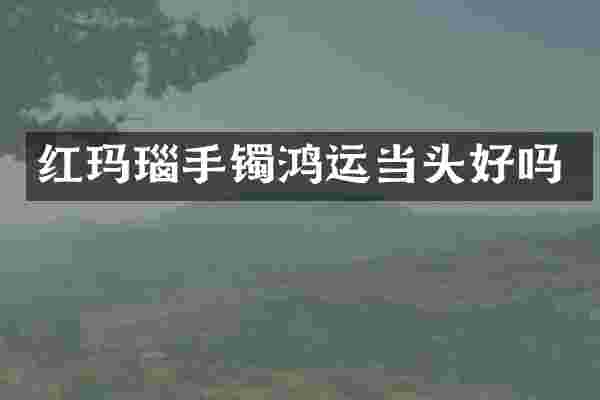 红玛瑙手镯鸿运当头好吗