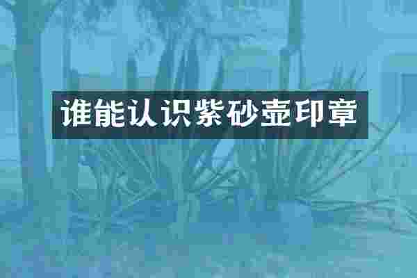 谁能认识紫砂壶印章