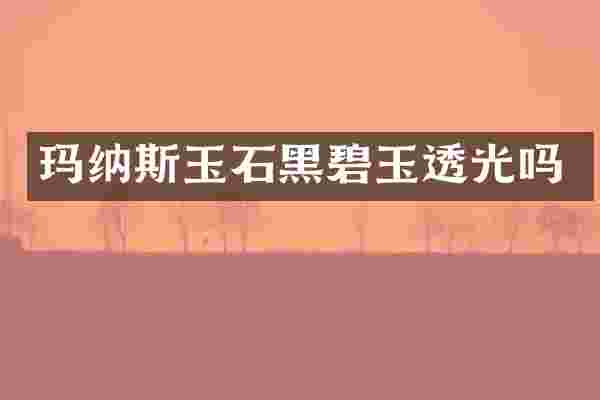 玛纳斯玉石黑碧玉透光吗