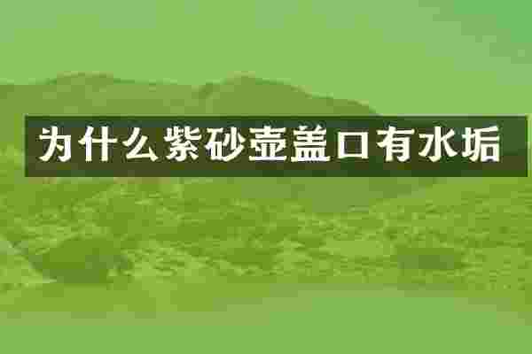 为什么紫砂壶盖口有水垢