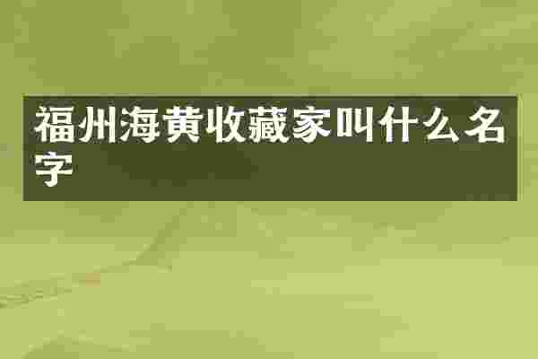 福州海黄收藏家叫什么名字