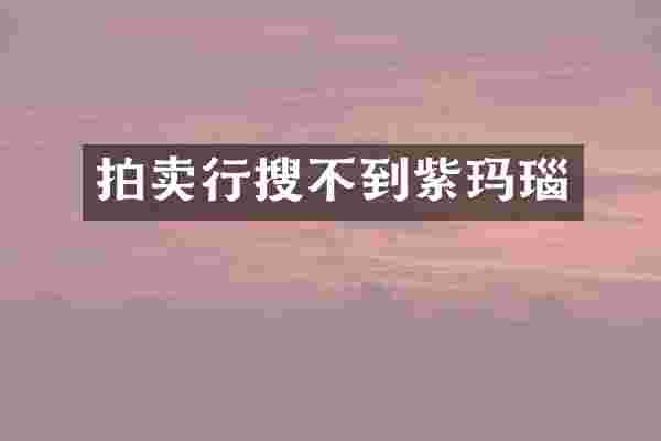 拍卖行搜不到紫玛瑙