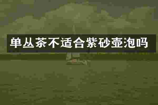 单丛茶不适合紫砂壶泡吗