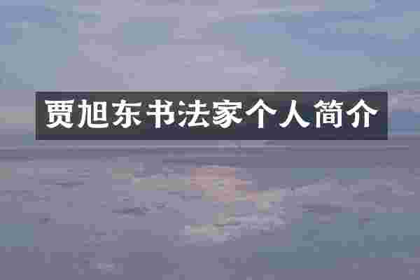 贾旭东书法家个人简介
