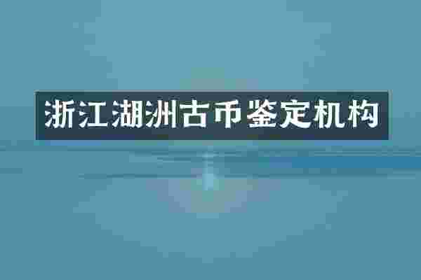 浙江湖洲古币鉴定机构