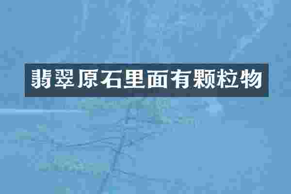 翡翠原石里面有颗粒物