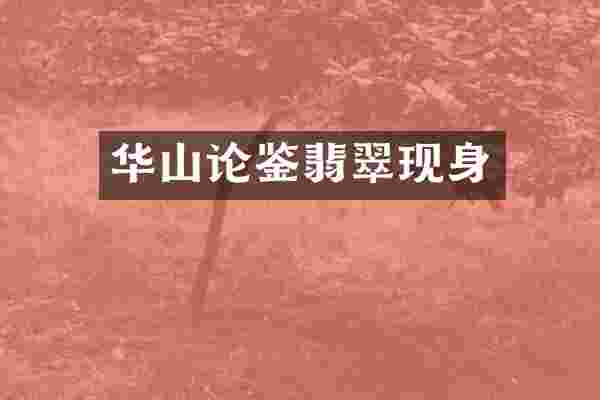 华山论鉴翡翠现身