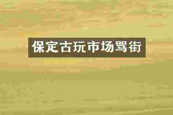 保定古玩市场骂街