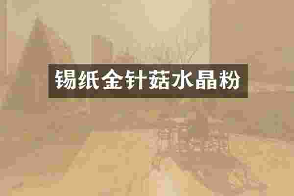 锡纸金针菇水晶粉