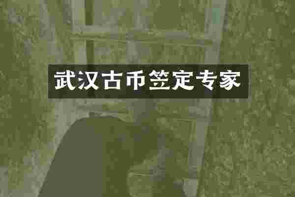 武汉古币笠定专家