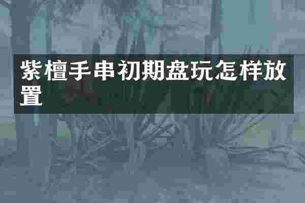 紫檀手串初期盘玩怎样放置