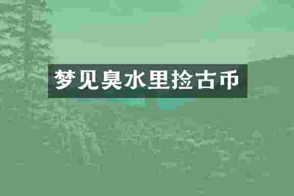 梦见臭水里捡古币