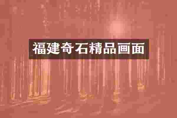 福建奇石精品画面