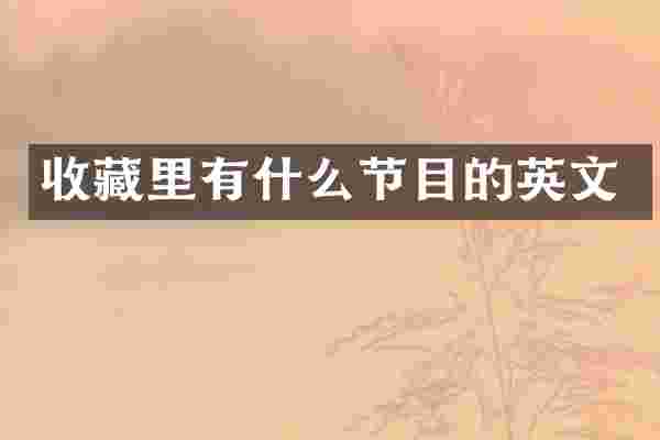 收藏里有什么节目的英文