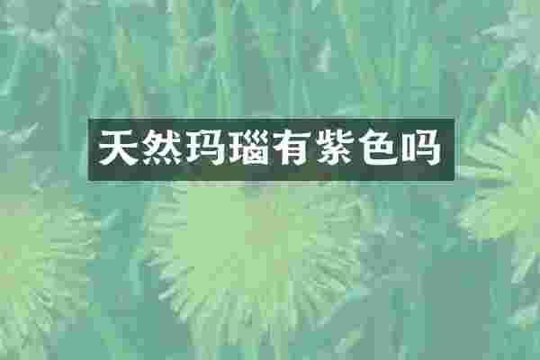 天然玛瑙有紫色吗