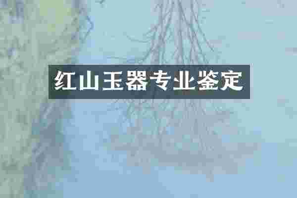 红山玉器专业鉴定