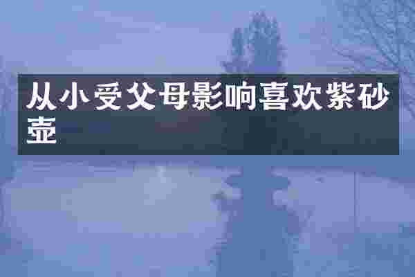 从小受父母影响喜欢紫砂壶