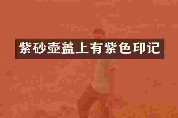 紫砂壶盖上有紫色印记