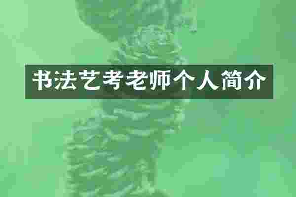 书法艺考老师个人简介