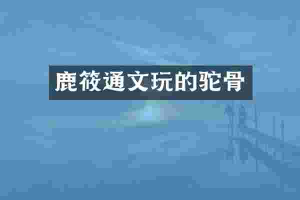 鹿筱通文玩的驼骨