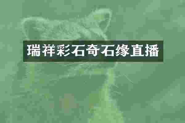 瑞祥彩石奇石缘直播