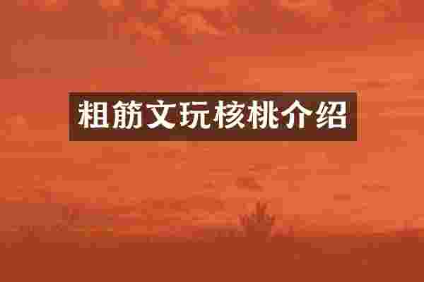 粗筋文玩核桃介绍