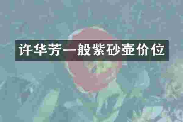 许华芳一般紫砂壶价位