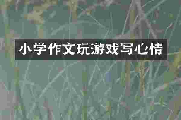 小学作文玩游戏写心情