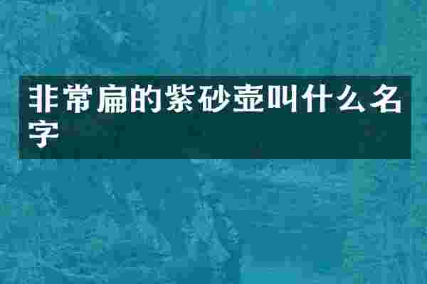 非常扁的紫砂壶叫什么名字