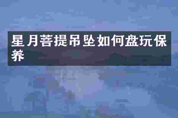 星月菩提吊坠如何盘玩保养
